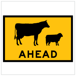 T1-19 – LIVESTOCK AHEAD