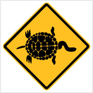TURTLE