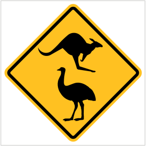 KANGAROO AND EMU