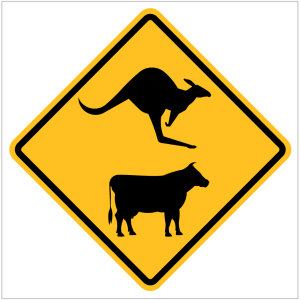 KANGAROO AND CATTLE