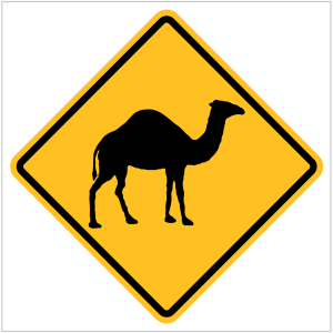 W5-44 - WATCH FOR CAMELS - TEMPORARY WARNING SIGNS WA ONLY BY ASAP SIGNS