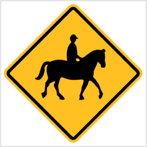 W5-53 HORSE AND RIDER