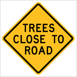 W5-V127 TREES CLOSE TO ROAD